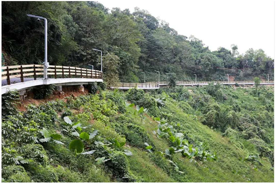 工業級交換機在智慧路燈中的應用現場.png 工業級交換機在智慧路燈中的應用現場.png